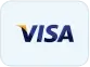 Payment System visa